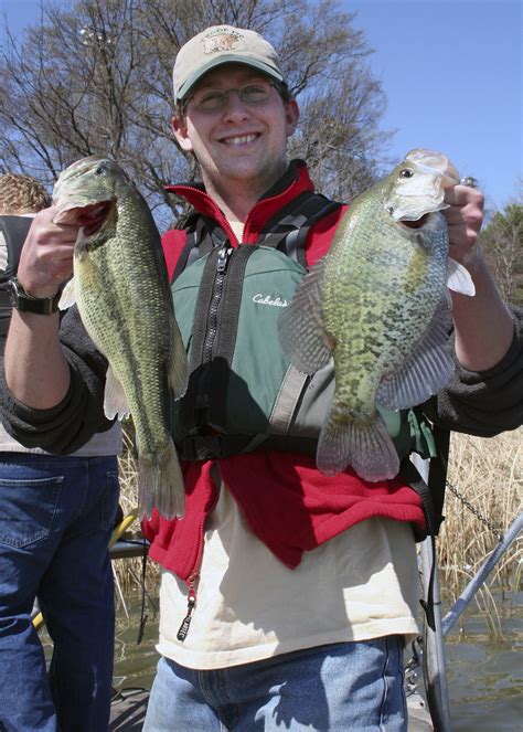 Think twice before putting crappie in ponds | Mississippi State ...