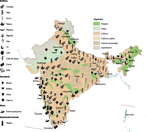 india Agricultural map | Vector World Maps