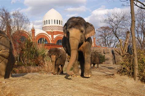 10 Insider Tips for Your Visit to the Cincinnati Zoo and Botanical Gardens