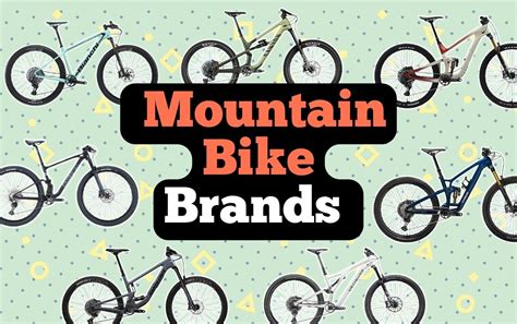 Essential Guide To Top Mountain Bike Brands