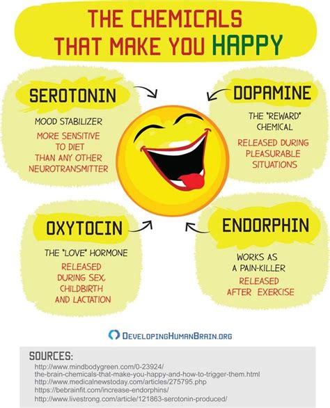 Your Happy Chemicals: Dopamine, Serotonin, Endorphins, & Oxytocin ...