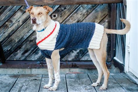 Free Crochet Patterns Dog Sweaters