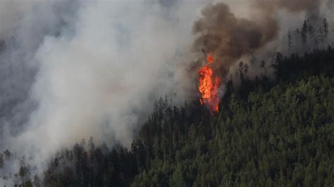 Un énorme feu de forêt force l’évacuation d’une Première Nation en ...