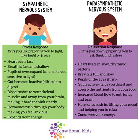 Balancing the Nervous System - Zensational Kids Mindfulness and SEL