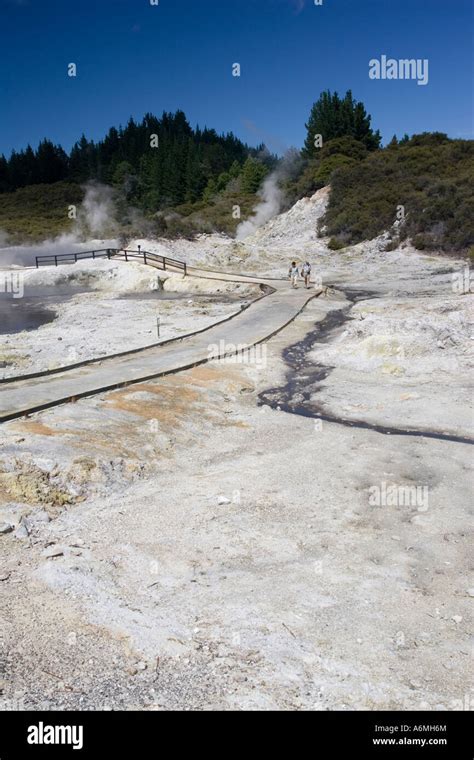 Visitors walking through Hells Gate Maori owned geothermal reserve ...