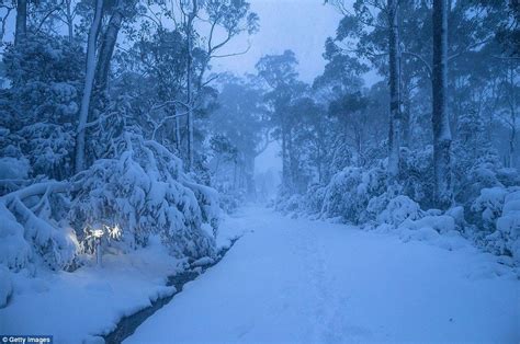 Breathtaking photographs show Cradle Mountain blanketed in snow ...