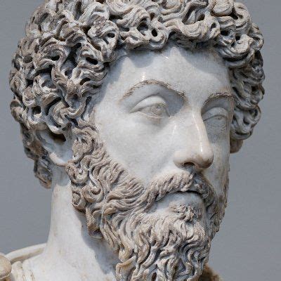 Carnivore Aurelius © on Twitter | Best entrepreneurs, The stoics, Stoic