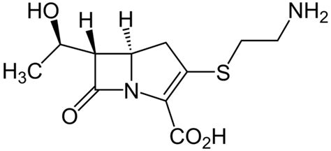 Chemical structure of thienamycin. Mechanism of action: In vitro ...