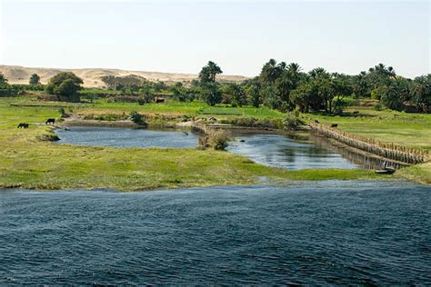 Nile River Agriculture Stock Photos, Pictures & Royalty-Free Images ...