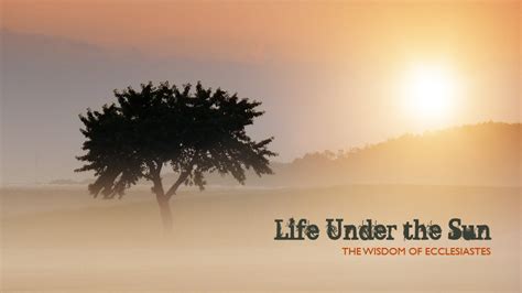 Category: Life Under The Sun Series