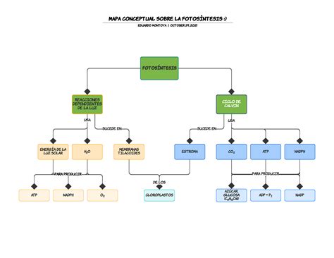 Mapa conceptual sobre la fotosíntesis en mapa - Fo t o s í n t e s i s ...