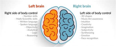 Workshop in January 2016 on Right and Left Brain | Sara Pugh Pilates ...