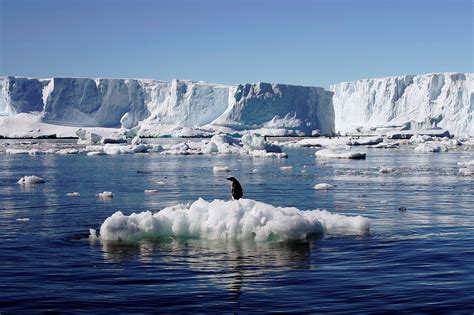 Humanity must adapt as Antarctic ice sheet continues to melt | World ...