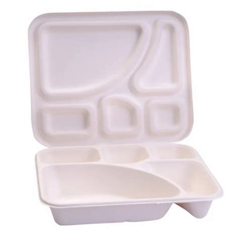 White 5 Compartment Bagasse Meal Tray, For Party And Events Supplies ...