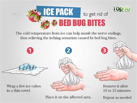 how to cure bed bug bites - pictures, photos