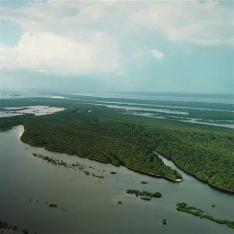 Parque Nacional do Jaú