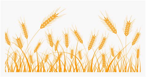 Wheat Silhouette Clip Art - Wheat Vector, HD Png Download - kindpng