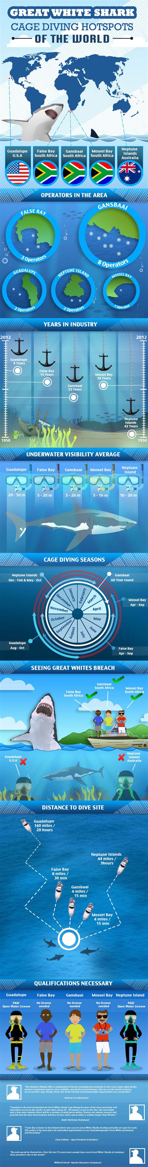 Great White Shark Hotspots of the world [INFOGRAPHIC]