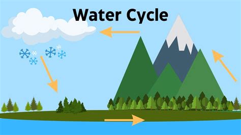 34+ Come Water Cycle Diagram PNG | Diagram Jos