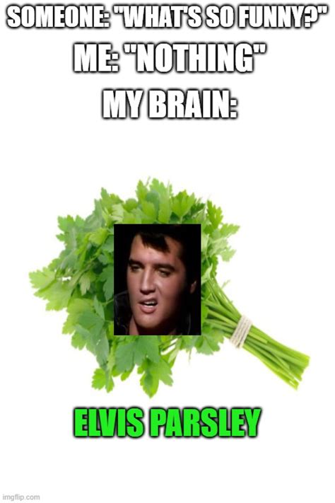 elvis presley Memes & GIFs - Imgflip