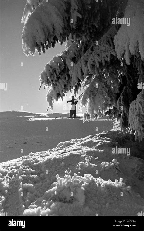 Skifahrer im Skigebiet um Oberhof in Thüringen, Deutschland 1930er ...