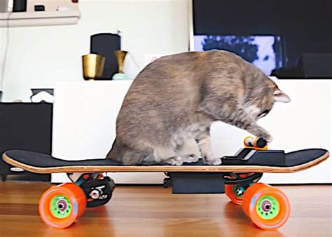 DIY electric skateboard project by Kim Pimmel - Geeky Gadgets