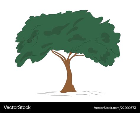 Tree Drawing With Color Png