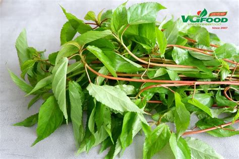 Rau Đay 200g Chuỗi cửa hàng VietGreenFood