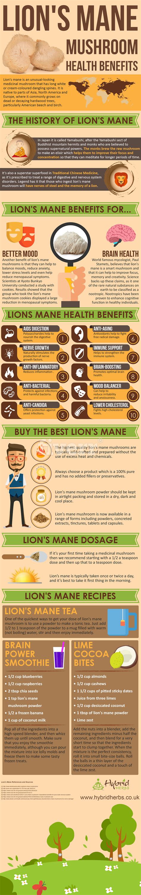 Lion's Mane Mushroom Health Benefits