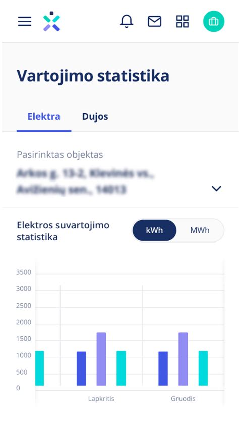 Savitarna verslo klientams - Ignitis