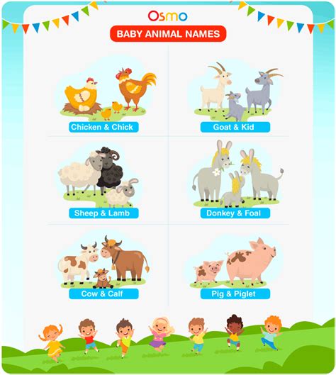 Top 135+ Baby names of animals with pictures - Merkantilaklubben.org