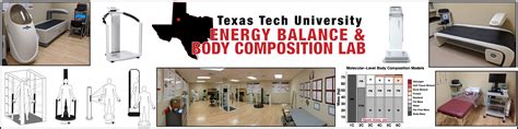 Energy Balance & Body Composition Laboratory | Kinesiology & Sport ...