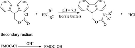 The reaction of amines with 9-fluorenilmetil-cloroformiato (FMOC-Cl ...