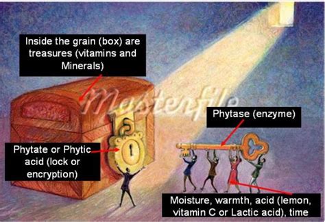 Lesson from Ezekiel’s Bread and Gathering of Manna | Nanay Miriam's "re ...