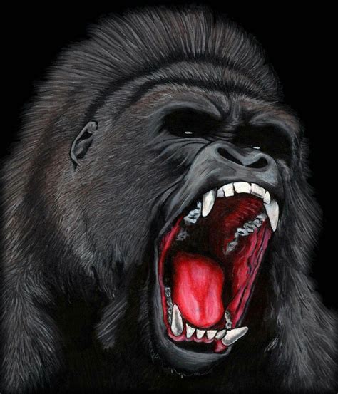 Silverback gorilla angry - grandsenturin