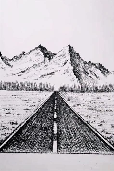 How To Draw a Road in a Pine Forest With Pencil [Video] | Nature art ...