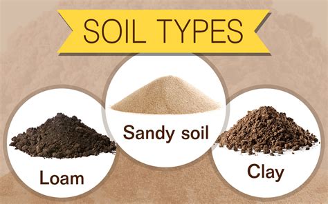 Geography Notes - For W.B.C.S. Examination - Different Soil Types In India.