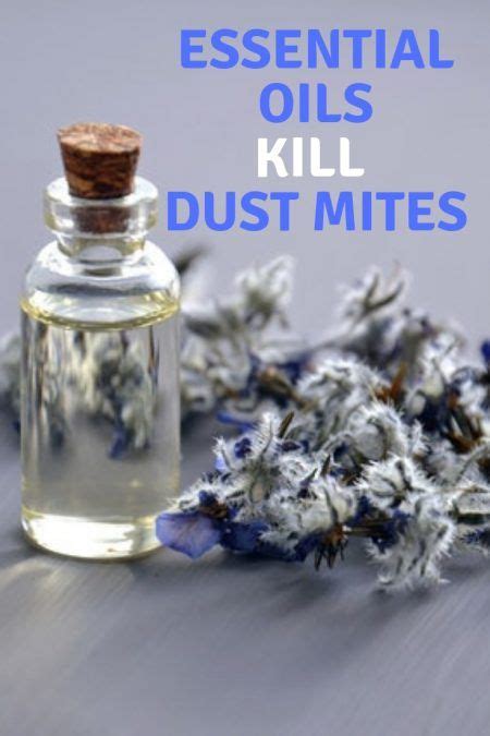 Effective Essential Oils to Kill Dust Mites (Including Easy DIY Spray ...