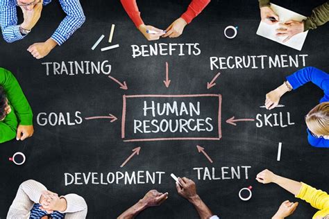 Human Resources Associate Job Description | What Does HR Do?