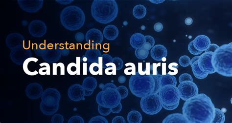 Understanding Candida auris: Risks, Symptoms and Prevention Measures ...