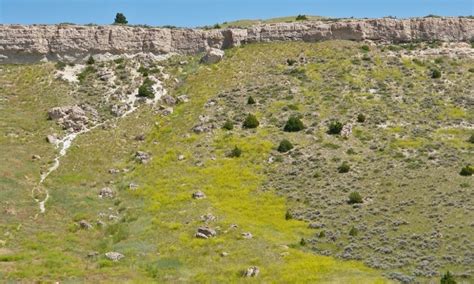 Buffalo Jump State Park in Montana - AllTrips