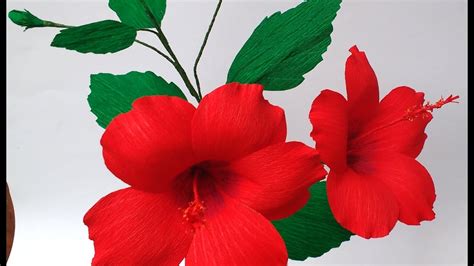 Top Image Hibiscus Flower Essay In Kannada 2021 - Flowyes