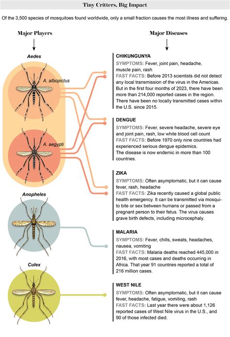 Mosquitoes Carry Nasty Diseases. Here's How to Protect Yourself ...