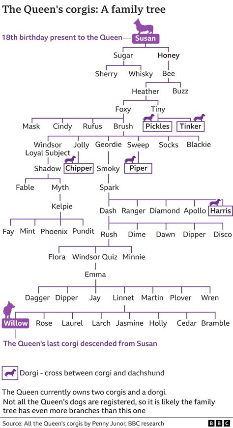 Family tree of the Queen’s corgis : r/corgi