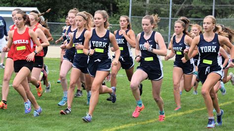 York cross country teams return to action at state qualifier