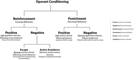 Operant Conditioning Diagram