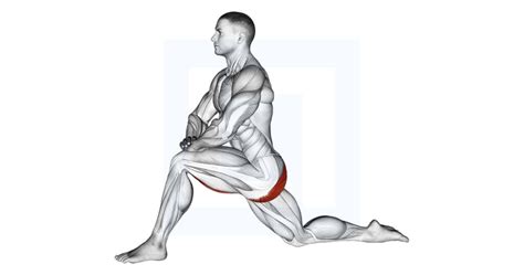 Kneeling Hip Flexor Stretch - Guide, Benefits, and Form