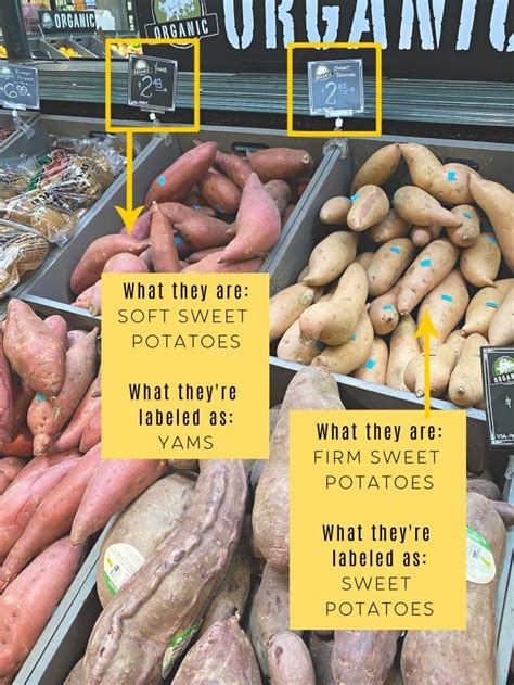 Yams vs. Sweet Potatoes: What's the Difference? - The Forked Spoon