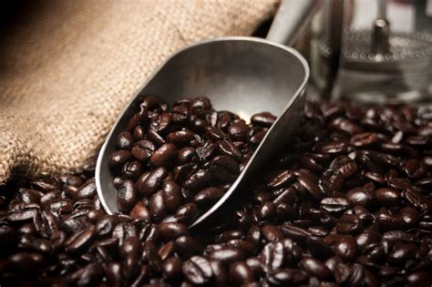 Dark Roast Coffee Might Reduce Risk of Alzheimer's, Parkinson's