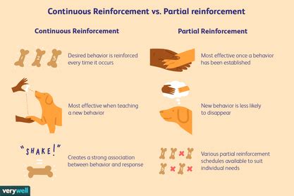 How Reinforcement Schedules Work